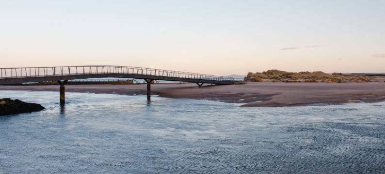 Harbour Nights 7E图片