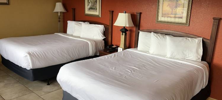 北港美洲佳值套房酒店(Americas Best Value Inn and Suites North Port)图片