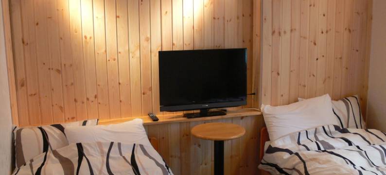 联运高级旅馆(Pension Locomotion)图片