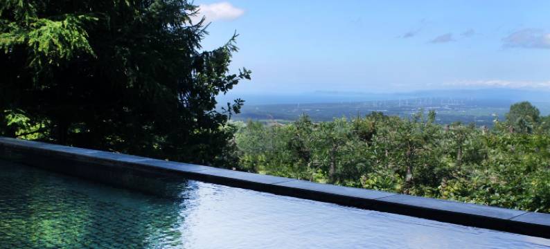 青森岩木山温泉度假酒店(Rockwood Hotel & Spa)图片