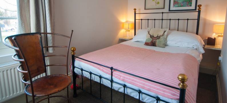 嬉水鸭酒店(The Dabbling Duck)图片