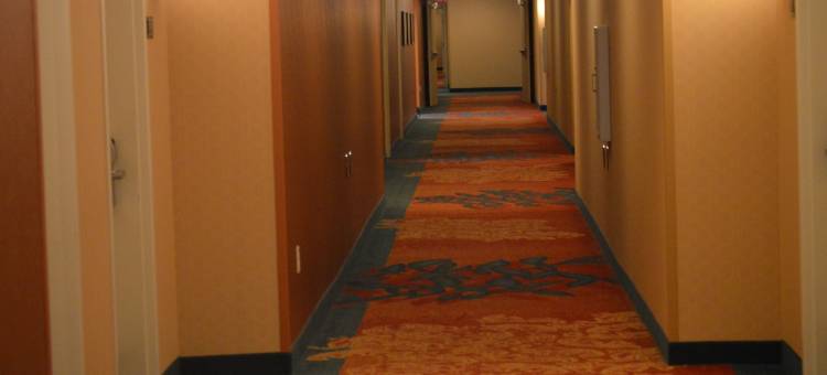 匹兹堡门罗维尔/威尔金斯Residence Inn 酒店(Residence Inn Pittsburgh Monroeville/Wilkins Township)图片