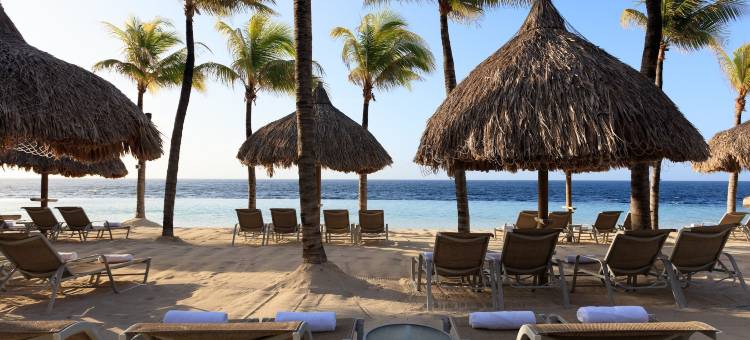 万丽风溪库拉索度假村(Renaissance Wind Creek Curacao Resort)图片