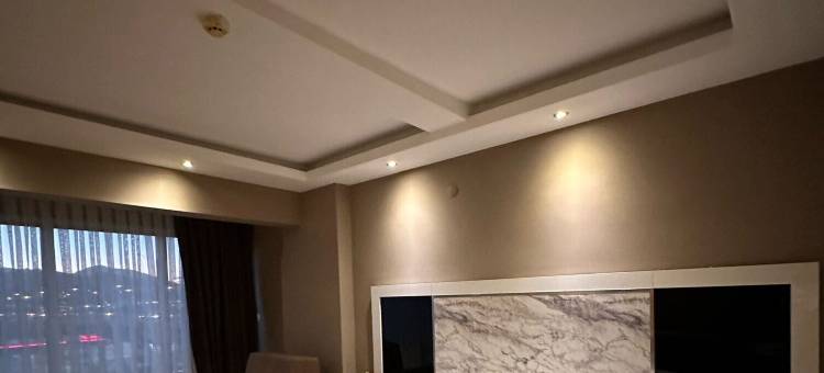 萨姆松机场度假酒店(Samsun Airport Resort Hotel)图片