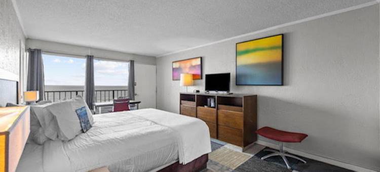 红树汽车旅馆(Oasis Hotel)图片