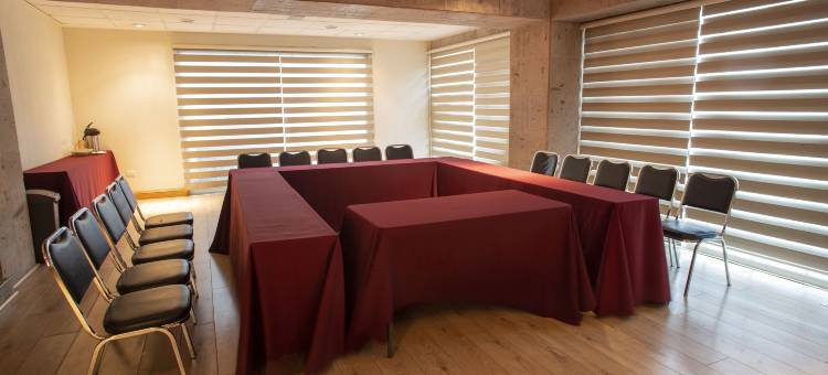 蒙特雷科隆贝斯特韦斯特优质酒店(Best Western Plus Monterrey Colon)图片