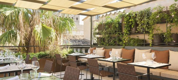 安提瓜帕尔马贵族之家酒店(Hotel Antigua Palma - Casa Noble)图片