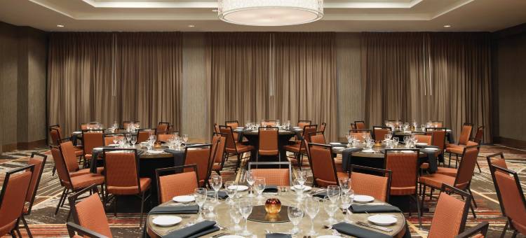 凤凰城坦佩大学研究园希尔顿花园酒店(Hilton Garden Inn Phoenix Tempe, University Research Park)图片