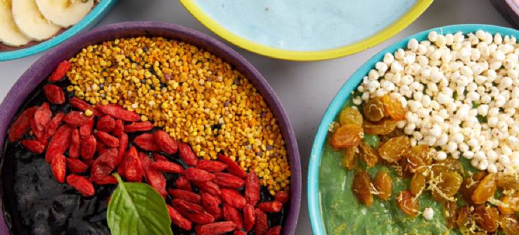 Amanita Dome. All-Inclusive Food and Drinks.图片