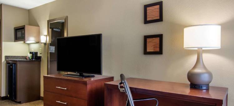舒适酒店-桑迪泉/环路(Comfort Inn Sandy Springs - Perimeter)图片