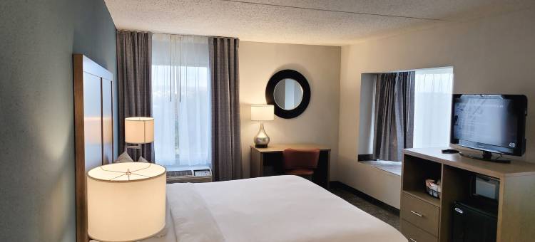 亚历山德里亚西部舒适酒店及套房(Comfort Inn & Suites Alexandria West)图片