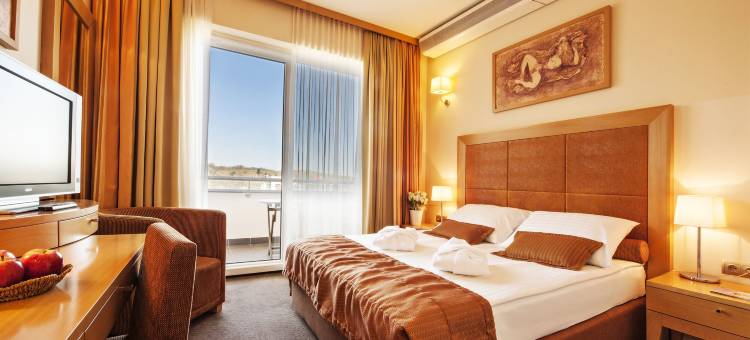 格兰德普利姆斯酒店 - 特尔梅普土伊 - 萨瓦酒店及度假村(Grand Hotel Primus - Terme Ptuj - Sava Hotels & Resorts)图片