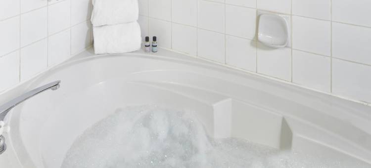 伯纳比商务会议行政套房酒店(Executive Suites Hotel & Conference Center, Metro Vancouver)图片