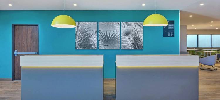 提华纳埃尔弗洛里多万豪City Express酒店(City Express by Marriott Tijuana El Florido)图片