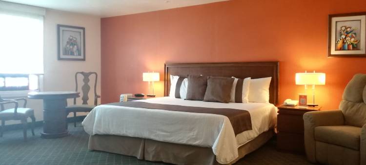 帕丘卡米西翁快捷酒店(Mision Express Pachuca)图片