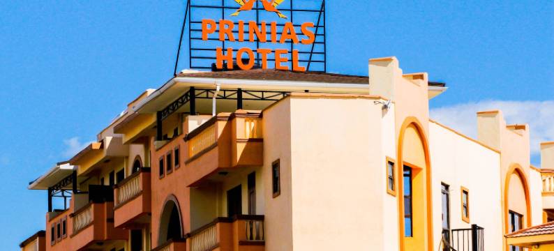 普林尼亚斯酒店(Prinias Hotel)图片