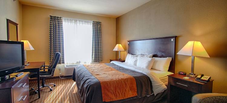 路易斯维尔湖滨舒适套房酒店(Comfort Inn & Suites Near Lake Lewisville)图片