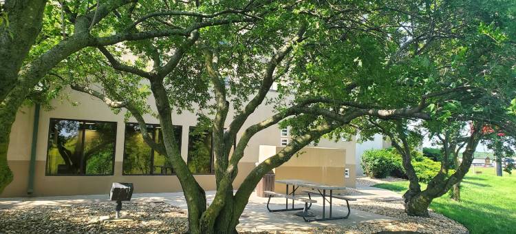 斯普林菲尔德南I-60-近医疗区舒眠酒店(Sleep Inn Springfield South I60 Near Medical District)图片