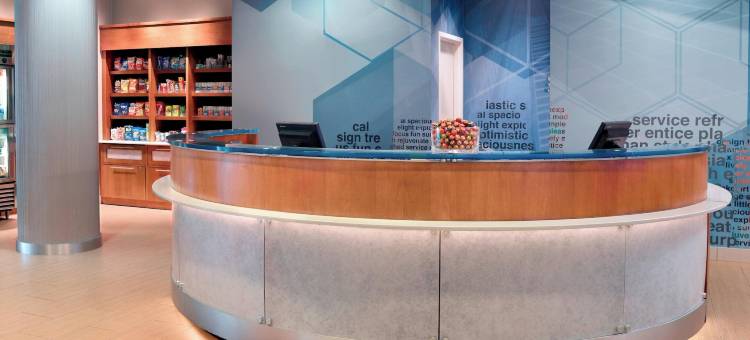 亚特兰大关口机场万豪SpringHill酒店(SpringHill Suites Atlanta Airport Gateway)图片