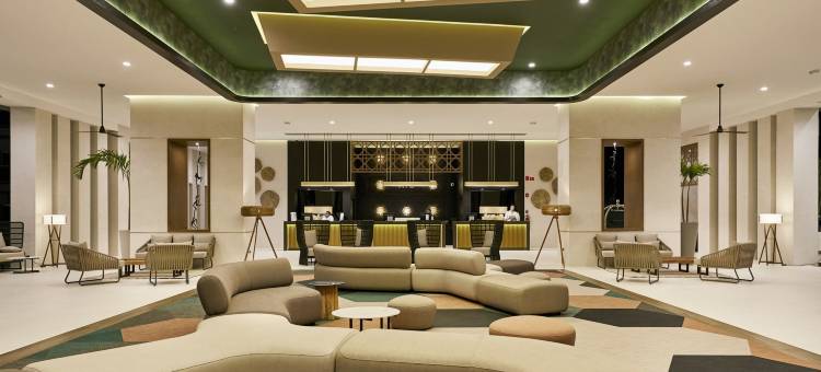 里乌宫加利福尼亚半岛酒店 - 限成人- 全包(Riu Palace Baja California - Adults Only - All Inclusive)图片