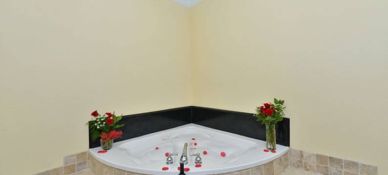 孤星贝斯特韦斯特酒店(Best Western Lone Star Inn)图片