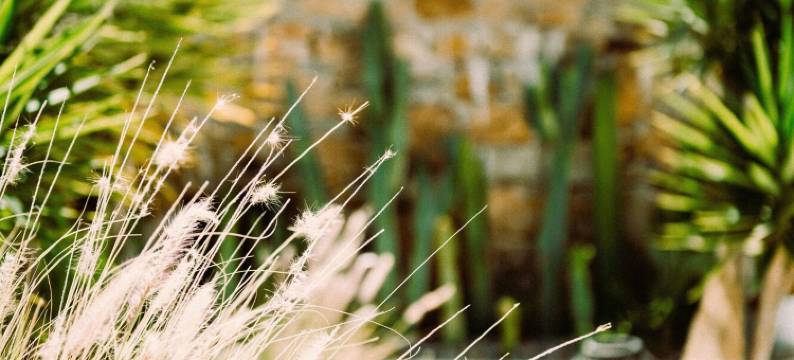 海滨一室公寓酒店(Sea Side Studios & Houses)图片