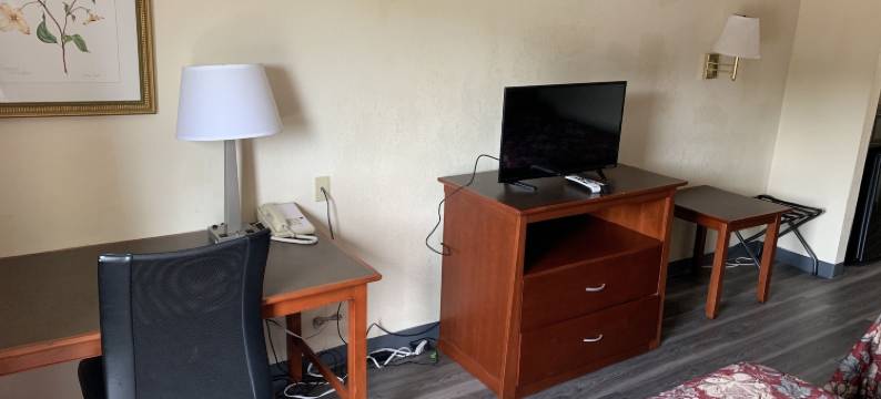 阿米莉亚套房酒店(Amelia Inn & Suites)图片