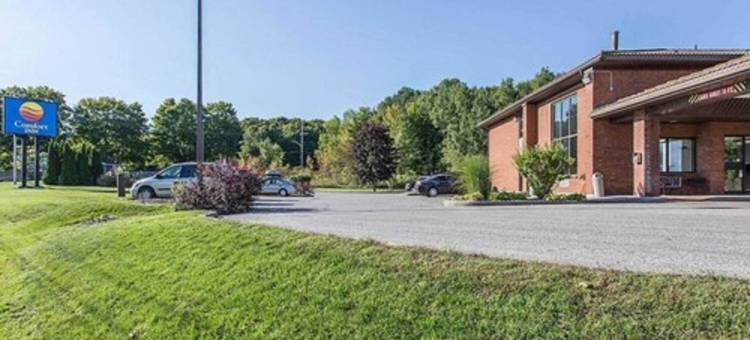 舒适酒店(Comfort Inn Midland)图片