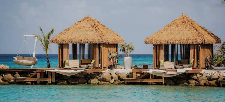 万丽风溪阿鲁巴度假村(Renaissance Wind Creek Aruba Resort)图片