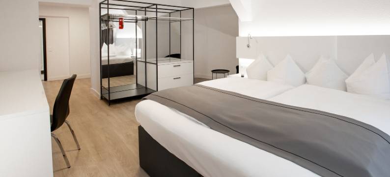 沃尔姆斯多美洛酒店(Dormero Hotel Worms)图片