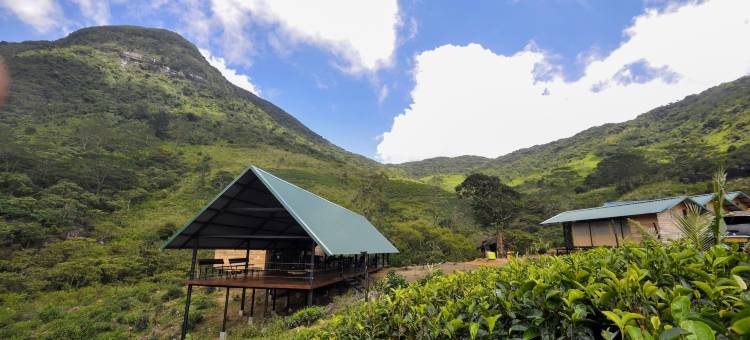 野生露营纳克尔斯(Wild Glamping Knuckles - Thema Collection)图片