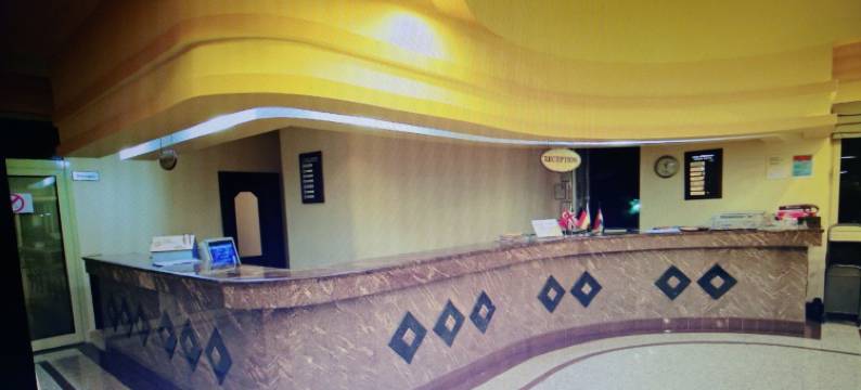 金棕榈酒店(Side Palm d'or Hotel)图片