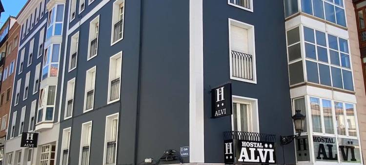 阿尔维(Alvi)图片
