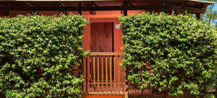 盖塔维拉村朋友俱乐部(Gitavillage Club Degli Amici)图片