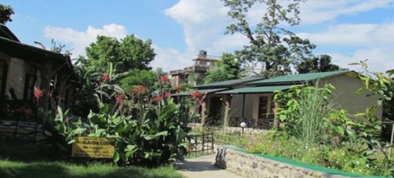奇旺盖达旅馆(Chitwan Gaida Lodge - Animal Lovers & Birdwatchers Paradise)图片