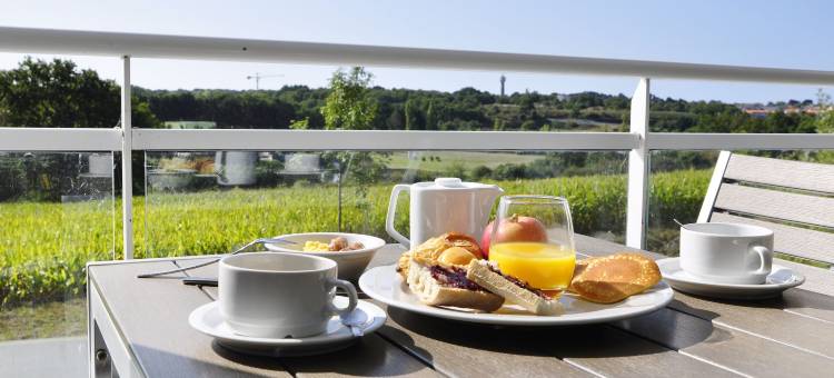 波尔尼克郁锦香酒店(Golden Tulip Pornic)图片