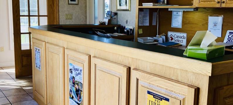 安妮雪莉汽车旅馆及小屋(Anne Shirley Motel & Cottages)图片