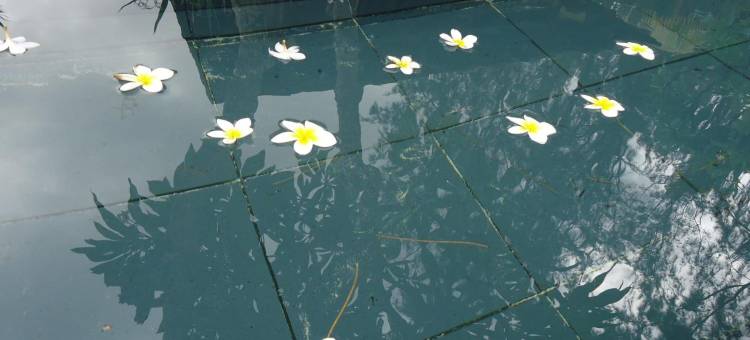 克里希纳酒店(Hotel Krishna)图片