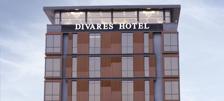 Divares豪华酒店(Divares Luxury Hotel)图片