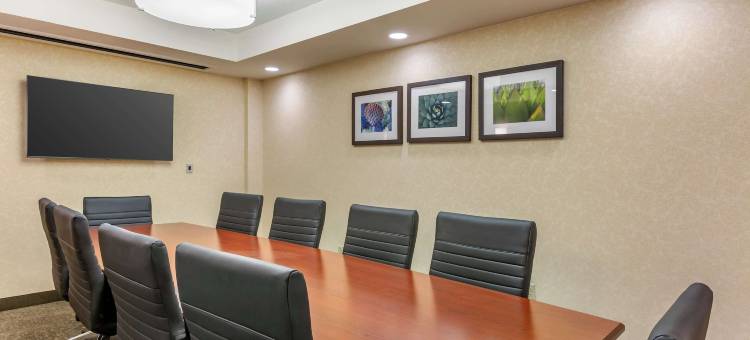 德鲁里广场酒店 凤凰城坦佩(Drury Plaza Hotel Phoenix Tempe)图片