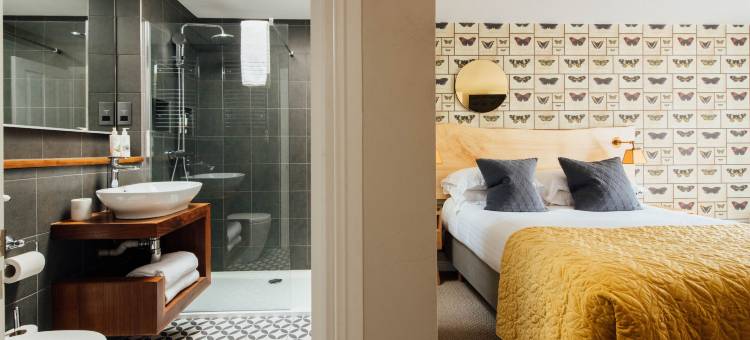 威廉的狐狸(The Fox at Willian)图片