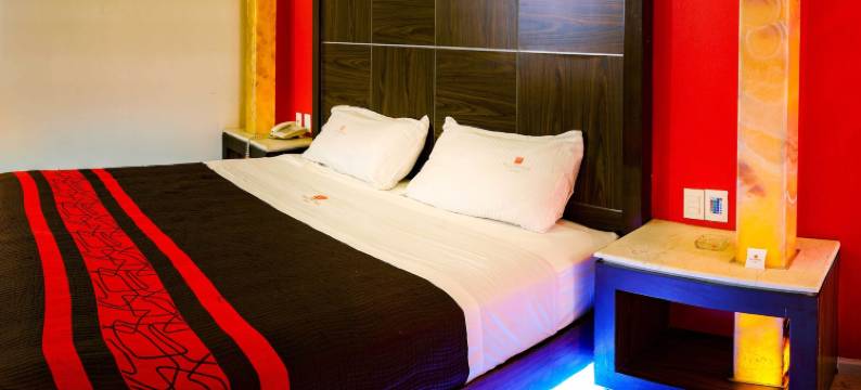 普卢塔科套房(Plutarco Suites)图片