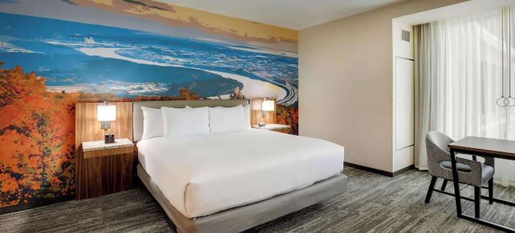 德鲁里广场酒店查塔努加汉密尔顿地方(Drury Plaza Hotel Chattanooga Hamilton Place)图片