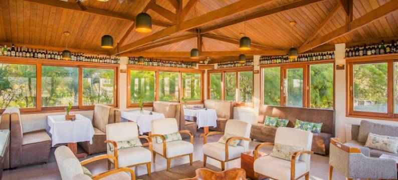 VILLA LOBOS SPA ROMANTIK 酒店(Hotel Villa Lobos Spa Romantik)图片