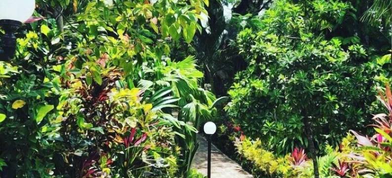 萨马拉海滩哥斯达黎加丽城酒店(Hotel Belvedere Playa Samara Costa Rica)图片