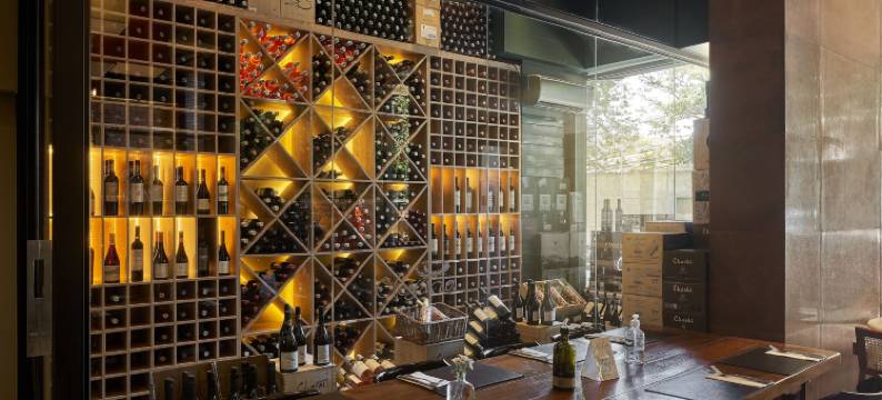 贝洛奥里藏特萨瓦斯丽笙酒店(Radisson Blu Belo Horizonte Savassi)图片