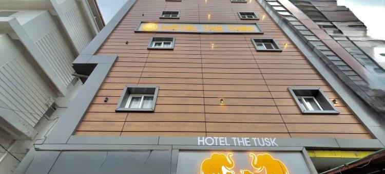 象牙酒店(Hotel The Tusk)图片