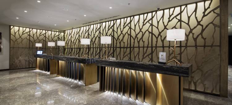 安卡拉希尔顿酒店(Ankara Hilton)图片