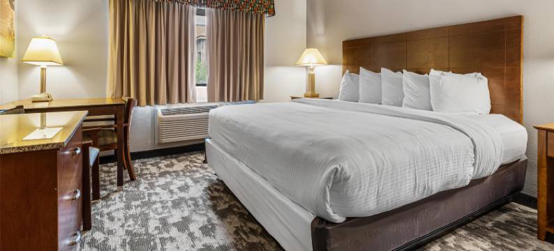 辛德尔斯贝斯特韦斯特套房酒店(Best Western Ambassador Inn  Suites)图片