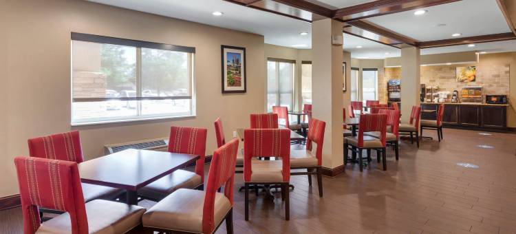 舒适套房酒店-达拉斯北(Comfort Suites North Dallas)图片